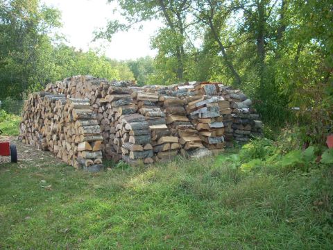 2000 Chevrolet Tahoe - A substantial stack of firewood sits in a grassy area surrounded by trees.