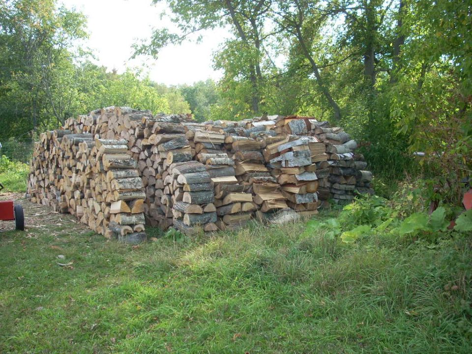 Large pile of cut firewood stacked outdoors with trees in the background
