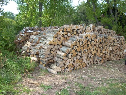2000 Chevrolet Tahoe - A large stack of cut logs sits in a grassy area with trees in the background.