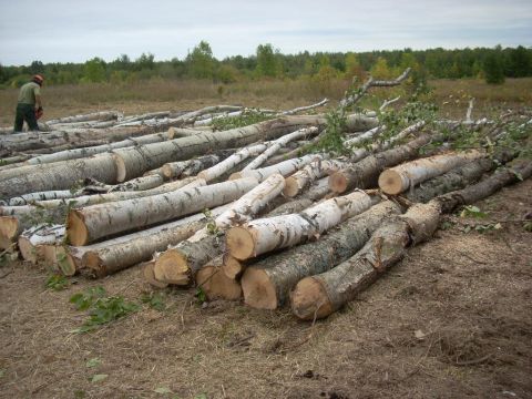 2000 Chevrolet Tahoe - A person operates a chainsaw in a field with a large pile of cut logs.