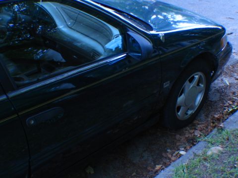 1993 Ford Taurus - Side view of a dark green 1993 Ford Taurus sedan, a gold pinstripe along the body.