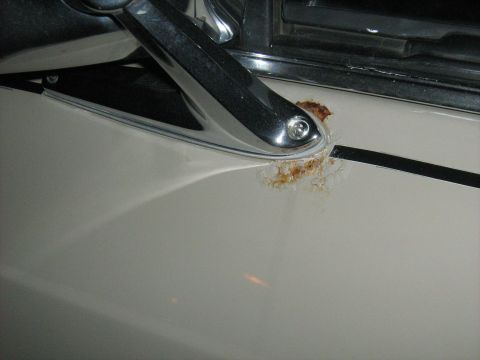 1988 Mercury Grand Marquis - passenger side mirror