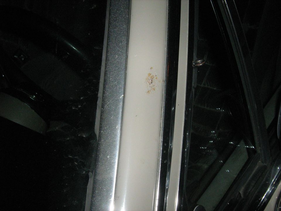 Close-up of a car's door trim showing a small rust spot on the white panel between chrome strips