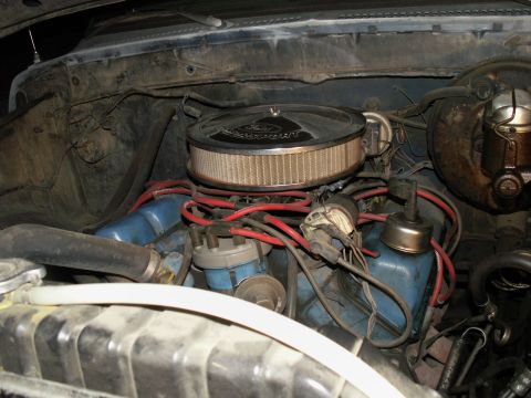 1977 Ford F-250 - Engine bay of a 1977 Ford F-250, blue valve covers and a prominent chrome air cleaner assembly.