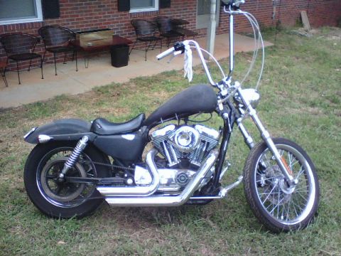2006 Harley-Davidson Sportster Custom “Sin D Sue”
