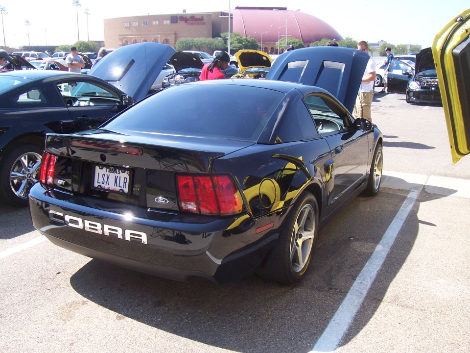 Black Ford Mustang Cobra with 'COBRA' text on bumper, GT badge, and LSX KLR license plate