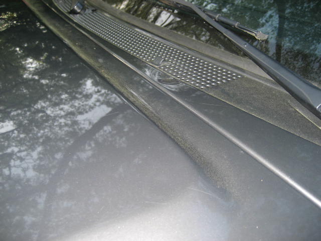 Gray vehicle cowl vent and windshield wiper