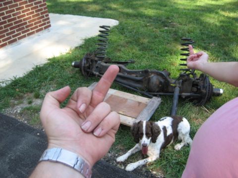 1996 Ford Bronco - Front axle and suspension components are laid out on the grass, accompanied by a dog and two hands offering an impolite gesture.