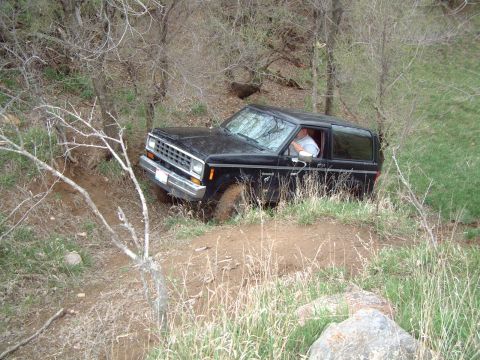 1984 Ford Bronco II - This black SUV is navigating a steep, dirt trail surrounded by dense foliage.