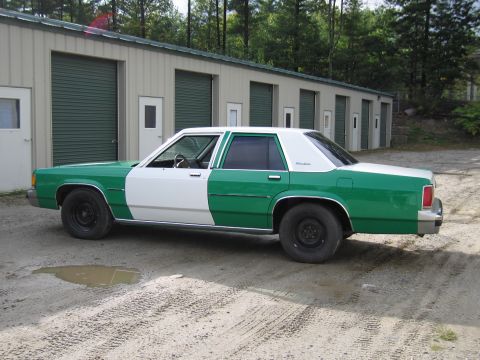 1991 Ford LTD Crown Victoria - two-tone green-and-white four-door sedan shown in profile parked in front of a row of green storage-unit doors.