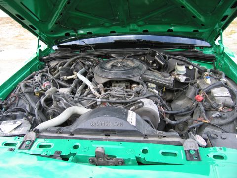 1991 Ford LTD Crown Victoria - Open engine bay of a green vehicle showing the air cleaner, hoses, brake master cylinder and a black "CAUTION FAN" shroud.