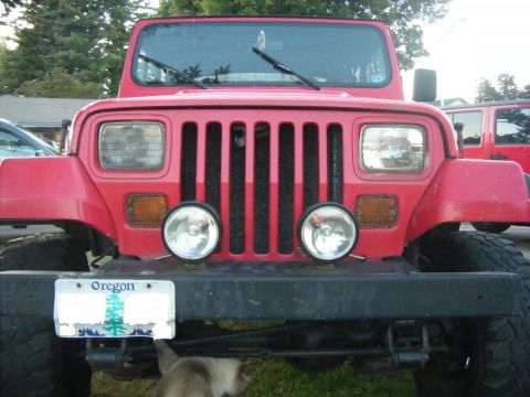 2005 Jeep Wrangler - My cat always shows his knowledge of Jeeps pointing out to me the disco front 30, Damm cat... Thank god he is not a pee'er otherwise, I kno…