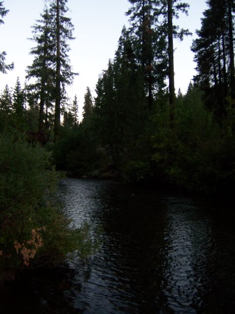 1991 Ford Bronco - A tranquil river winds through a dense forest as the sky darkens.
