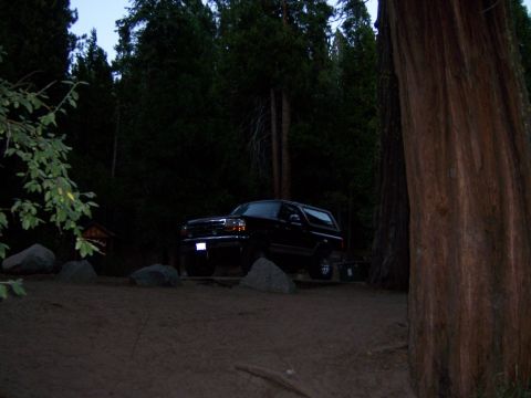 1991 Ford Bronco - A dark SUV is parked in a wooded area with large trees surrounding it.