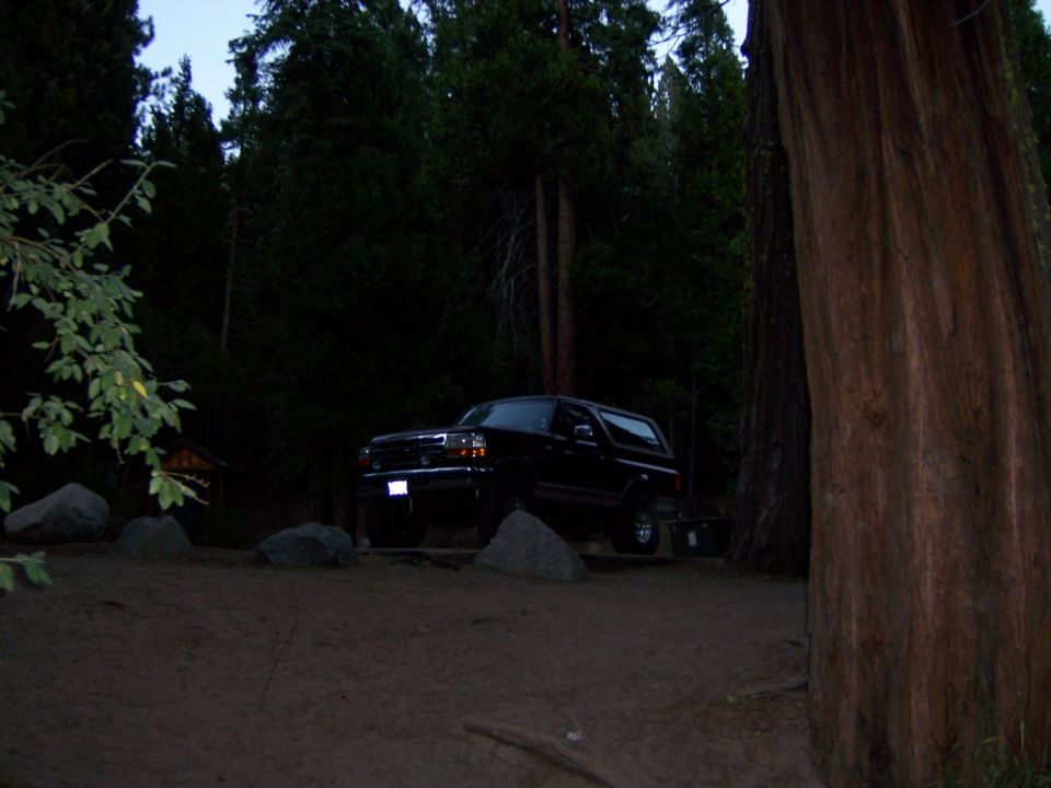 Black SUV parked on dirt with trees and large redwood trunk. Front grille and headlights visible