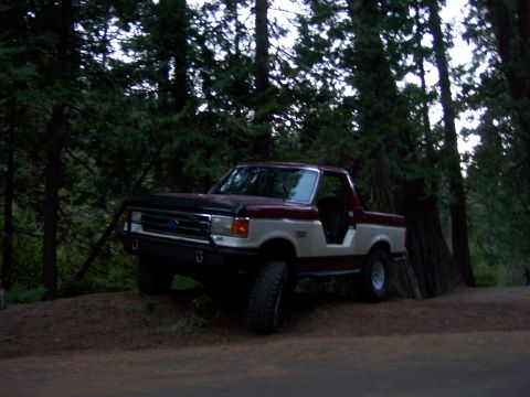 1991 Ford Bronco - This 1991 Ford Bronco is shown in a three-quarter front view, parked on a dirt incline surrounded by trees.