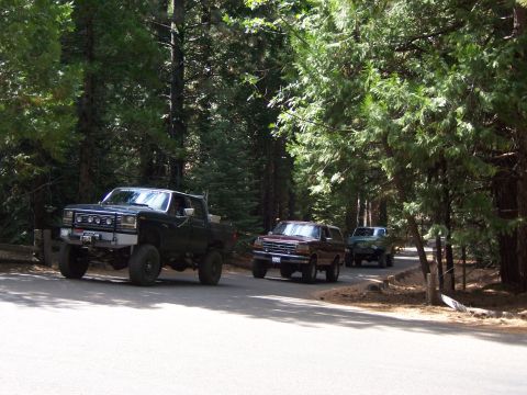 1991 Ford Bronco - Three SUVs, including a 1991 Ford Bronco, travel down a road surrounded by tall trees.