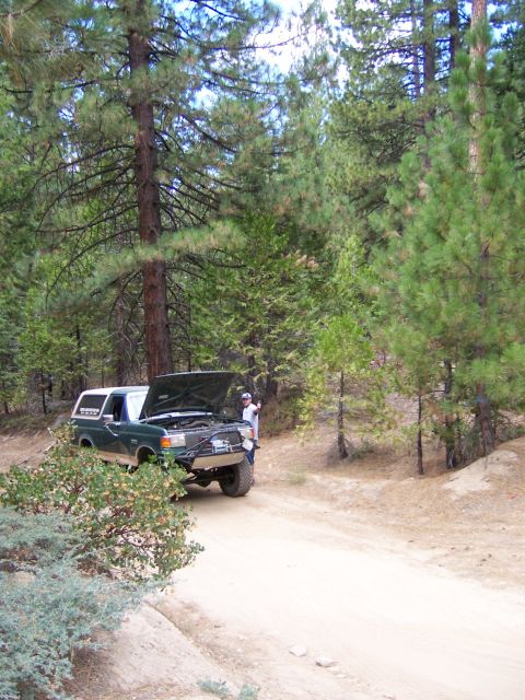 1991 Ford Bronco - A green Ford Bronco is parked on a dirt road with its hood open, surrounded by trees.