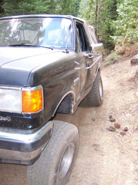 1991 Ford Bronco - A black Ford Bronco is parked on a dirt road, surrounded by trees and foliage.
