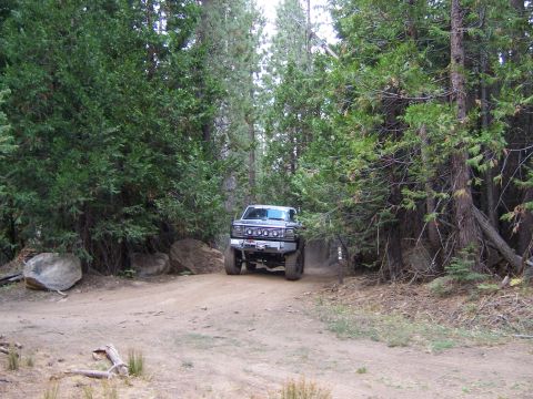 1991 Ford Bronco - A modified off-road vehicle navigates a dusty trail surrounded by dense trees.
