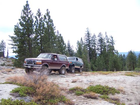 1991 Ford Bronco - Two Ford Broncos navigate a dirt path surrounded by tall pine trees and rocky terrain.