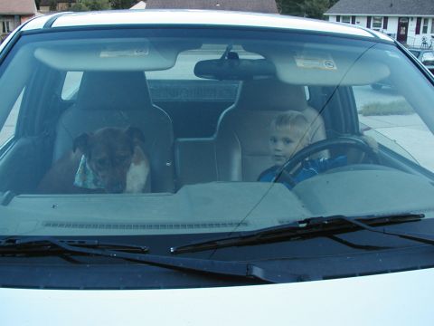 1989 Ford Bronco - I had to give my neighbor's camera back before I put the axle back in and finished up. Sorry, no more pics. Here are my two helpers. When y…