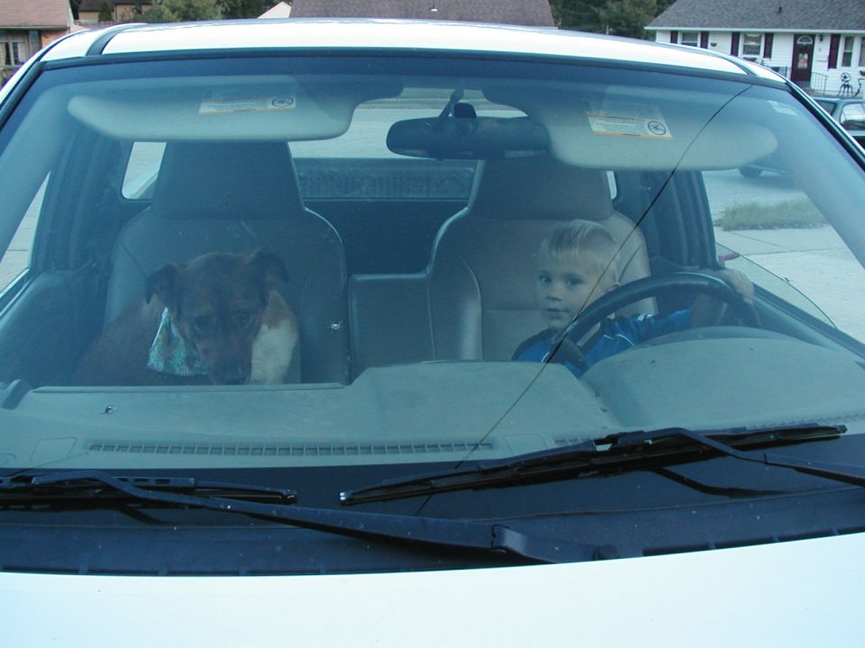 Dog and young boy sitting in front seats of a vehicle behind windshield