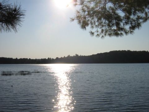 1988 Mercury Grand Marquis - Sunlight sparkles on the water of a tranquil lake, with trees lining the distant horizon.