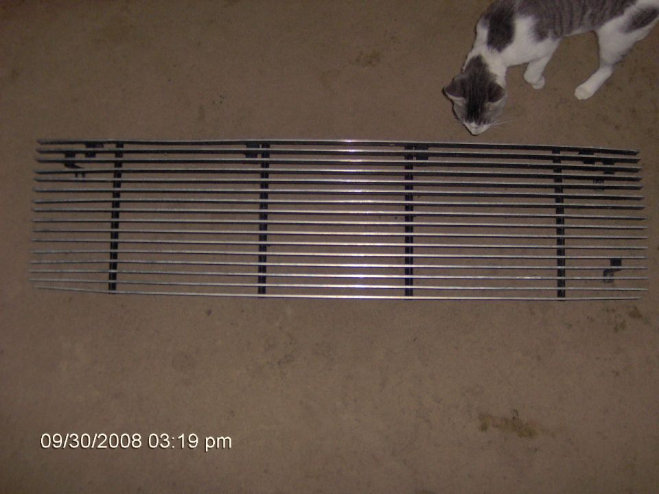 Chrome billet grille lying flat on carpet with a cat sniffing it
