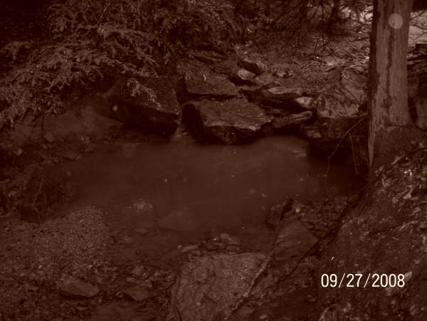 Muddy puddle surrounded by rocks and trees, with a date and website overlay