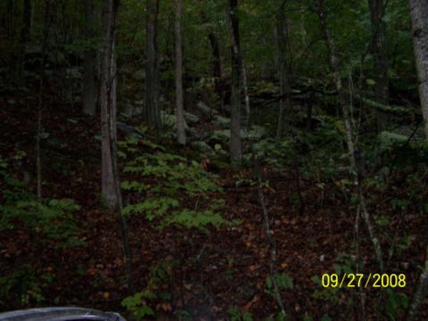 1992 Jeep Cherokee photo