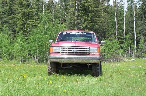 1987 Ford Bronco - Head on, need to do something with that bumper and grill!!