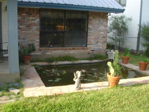 1989 Ford Bronco - A tranquil backyard scene features a pond with aquatic plants and decorative elements.