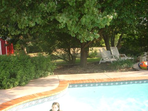1989 Ford Bronco - Backyard scene with a swimming pool and lounge chairs under trees.