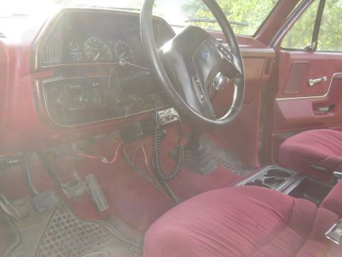 1988 Ford F-150 photo