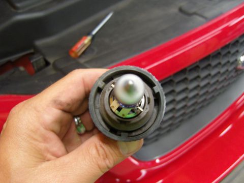 2007 Ford Mustang - A hand holds a headlight bulb, with a red vehicle grille and hood visible in the background.