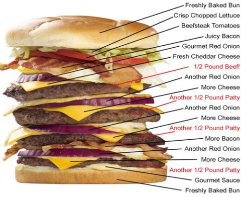 1989 Ford Bronco - A diagram labels the numerous ingredients in a towering hamburger, including multiple beef patties, cheese, bacon, and red onion.