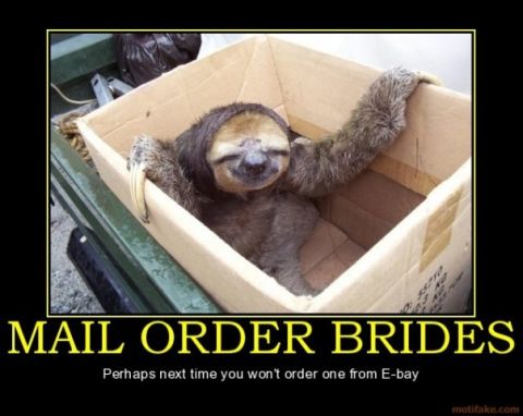 1996 Ford Bronco - A sloth is pictured in a box with a humorous caption about mail order brides.