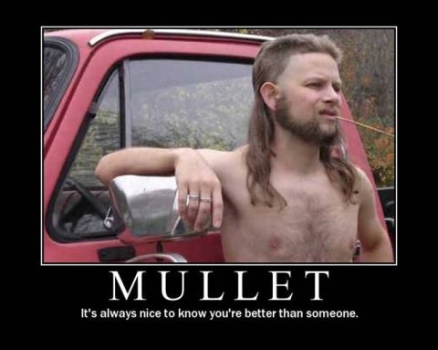 1973 Ford Ranchero - This meme features a man with a mullet posing next to a red vehicle, with the text 'MULLET' and a humorous quote.