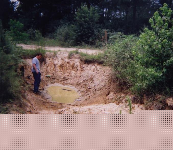 Man standing in a sandy eroded pit with a muddy puddle, surrounded by brush and trees