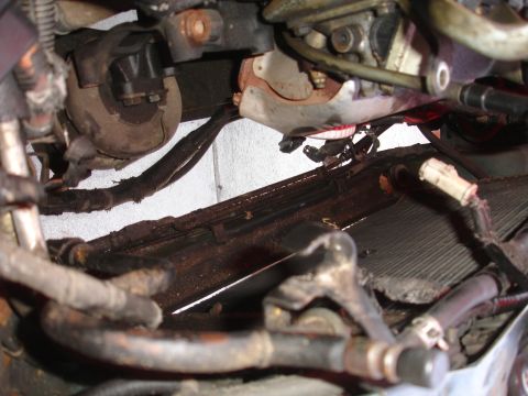1993 Ford Taurus - The engine bay shows various hoses, wiring, and a radiator, indicating mechanical components.