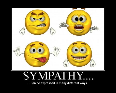 1971 Ford Ranchero - This image displays four distinct smiley faces, each conveying a different emotion, under the heading "SYMPATHY".