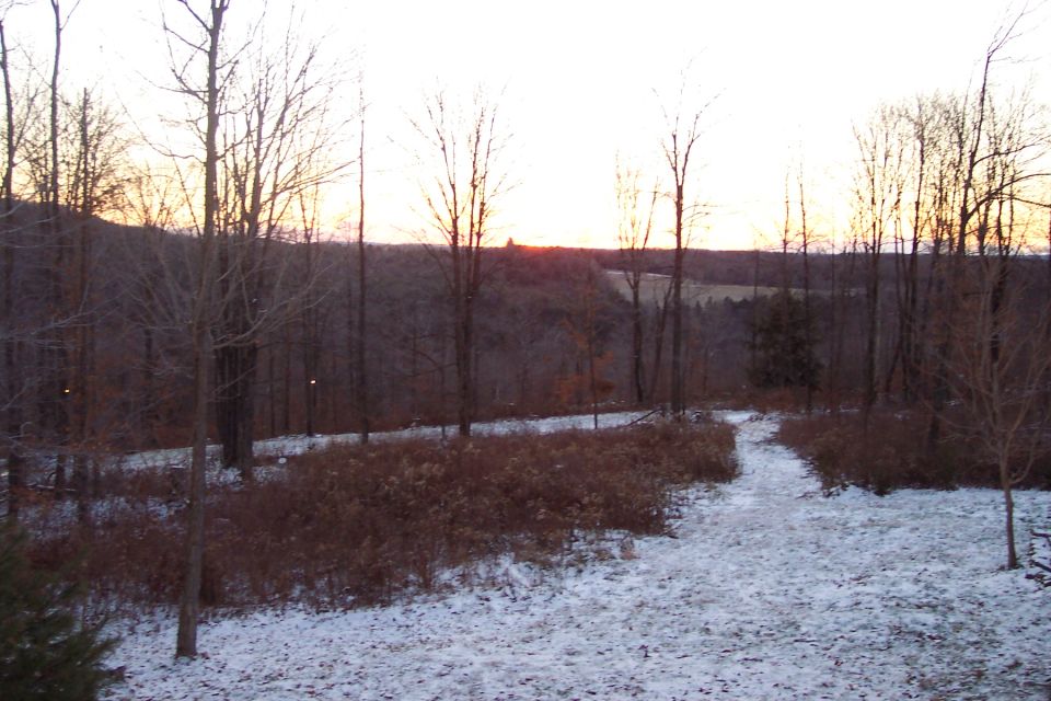 Winter landscape with snow on the ground and bare trees against a sunset sky