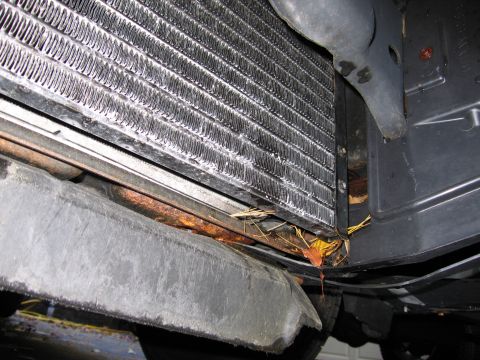 1991 Ford LTD Crown Victoria - The front underside of a vehicle shows a damaged radiator and bumper with accumulated leaves and rust.