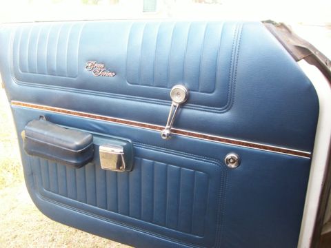 1976 Ford Torino - This would be your sight when you get out of the car from the driver's seat. This window doesn't roll down, it's jammed in place. Probably…