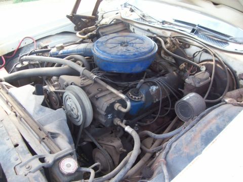 1976 Ford Torino - This is the mighty 351M engine. Smog motor. Lots of potential if you're patient (and rich) but all I want is a clean running engine, a litt…