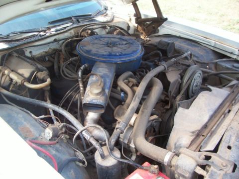1976 Ford Torino - Everything under the hood SEEMS to be in place, except for the lack of an air filter element. The battery is a year old. Everything else ap…