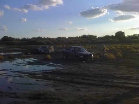 1996 Dodge 1500 - Two pickup trucks are stuck in a muddy field under a cloudy sky.