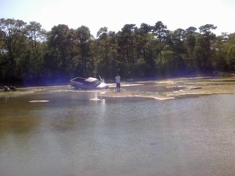 1996 Dodge 1500 - A truck is stuck in the water near a wooded area, with a person observing the situation.