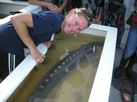 1991 Ford Bronco - A woman leans over a tank to look at a large sturgeon fish, with other people visible in the background.